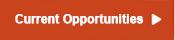 Current Opportunities button